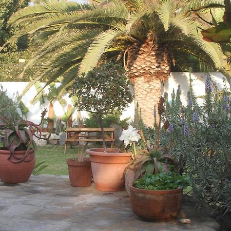 Ferienwohnung Ocean Melody Swakopmund Exterior foto