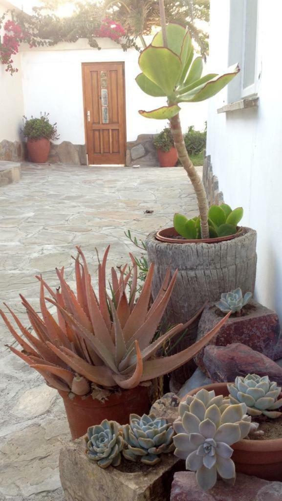 Ferienwohnung Ocean Melody Swakopmund Exterior foto