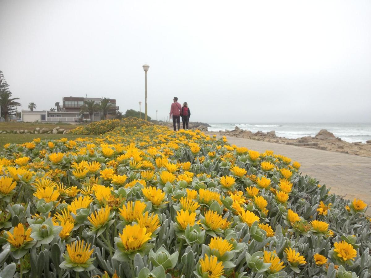 Ferienwohnung Ocean Melody Swakopmund Exterior foto